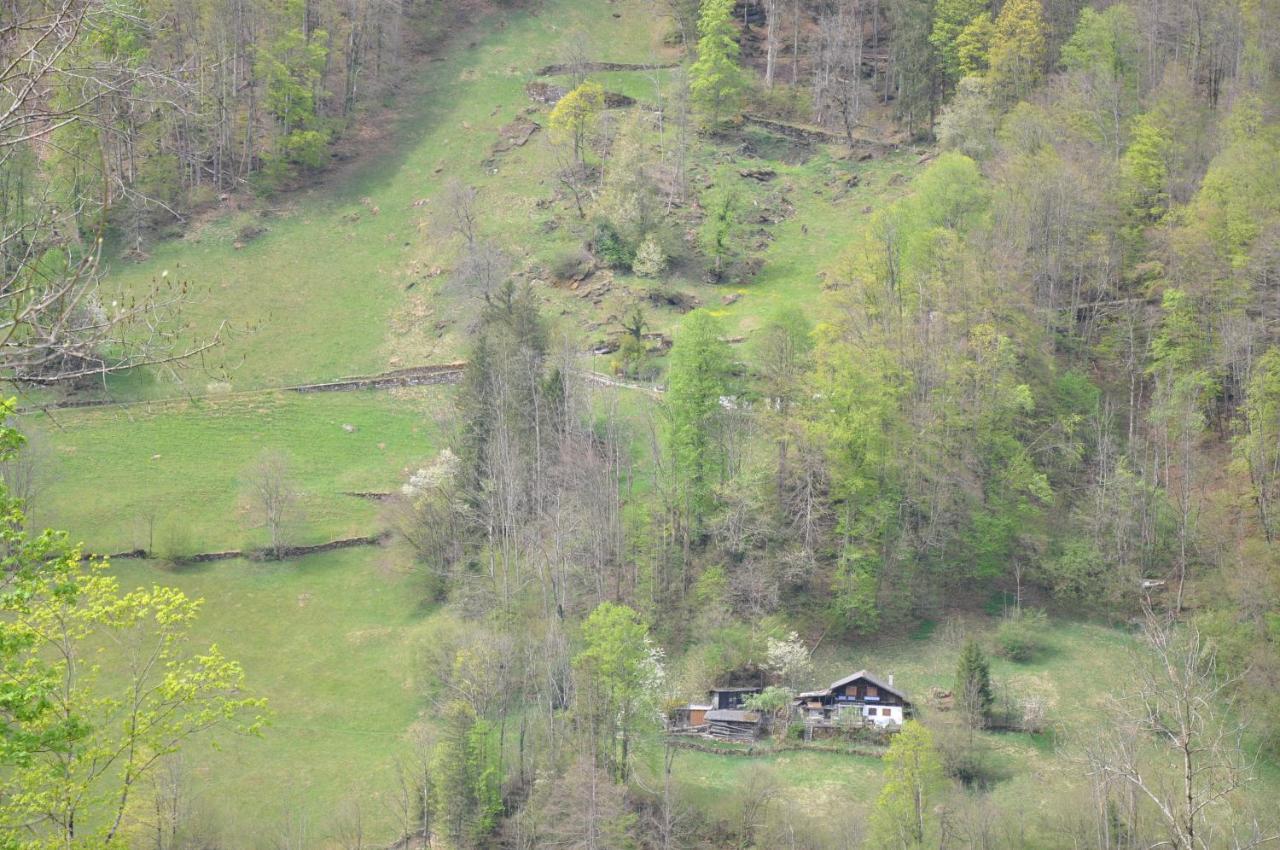 Ferienwohnungen Alter Raaben Rüti Extérieur photo